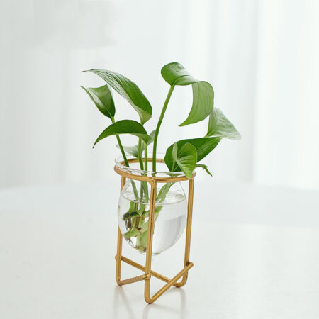 Modern Hydroponic Vase - Minimalist Decor for Dining Table